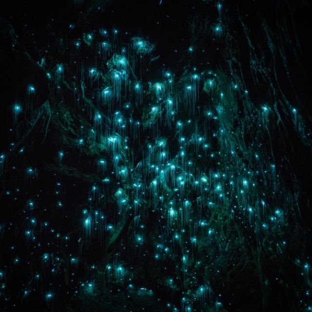 Nuée de points lumineux turquoise dans une grotte noire, salle L'île maudite chez Nant'escape à Nantes