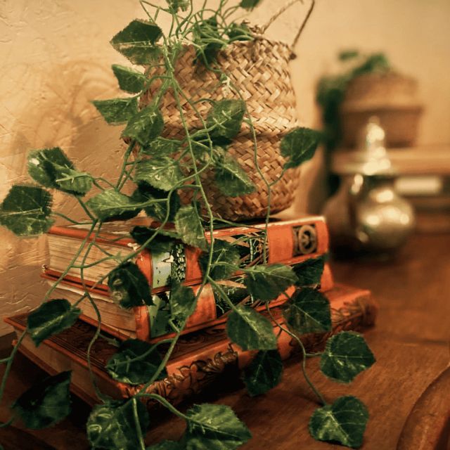 Plante grimpante sur une pile de livres anciens, décor de la salle Le pouvoir de l'anneau, One O'Clock