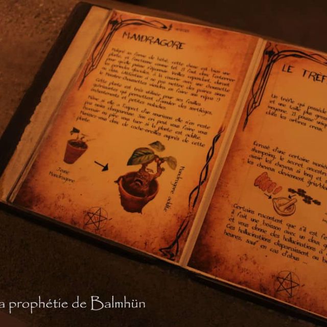 La prophétie de Balmhün, escape game à Blois