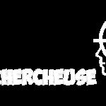 Logo de Tête Chercheuse, escape game à Mérignac