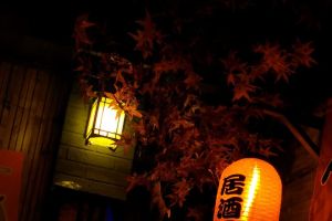 Le collectionneur de Kyoto