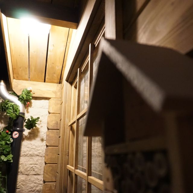 Entrée d'une cabane avec plantes vertes et éclairage chaleureux, chez La Synapserie à Riom