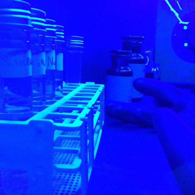 Couloir futuriste aux néons bleus et verts, équipements techniques dans la salle Chambre 102 Épidémie