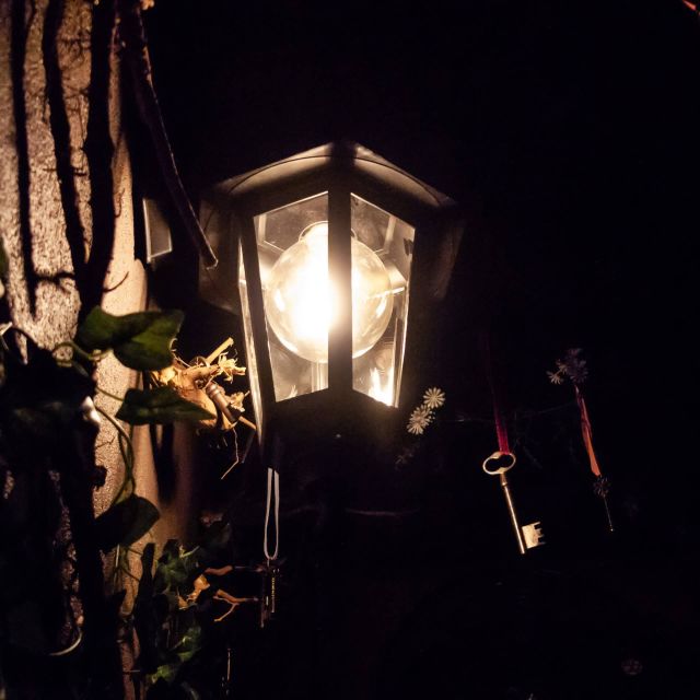 Lanterne allumée parmi des branches dans l'obscurité, salle Au pays des merveilles chez Locked Time à Marseille