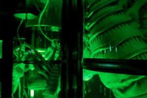 Area 51 : district interdit