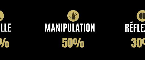 Répartition des énigmes : fouille 20 %, manipulation 50 %, réflexion 30 %, salle d'Escape The Game à Castres
