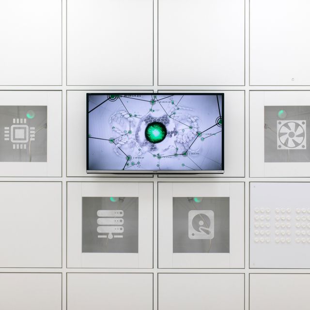 Mur de casiers blancs avec écran central et plaques grises, salle Le cube chez One Brain