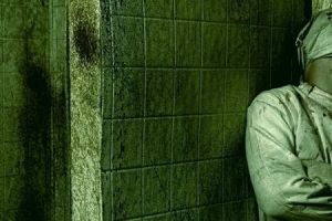 Asylum