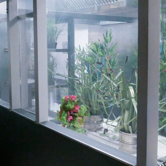 Serre avec plantes vertes et fleurs roses, vitrines éclairées dans Time Lab