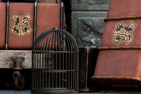 Malles de voyage en cuir et cage à oiseaux dans un décor sombre, salle La coupe des sorciers chez Cinsens à Millau