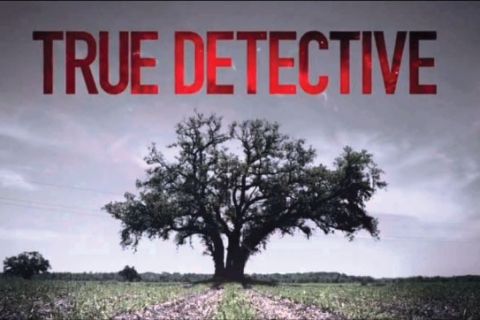Titre True Detective sur un chêne isolé dans un champ gris, salle True Detective chez Enigma Escapin à Lindos