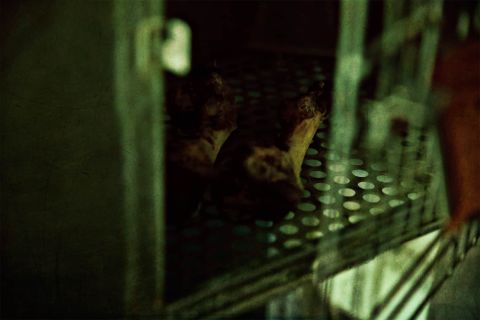 Mains de joueur sur un clavier rétroéclairé dans la pénombre de la prison Blackout Room