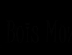 Logo du Domaine de Bois-Mozé, escape game à Brissac Loire Aubance