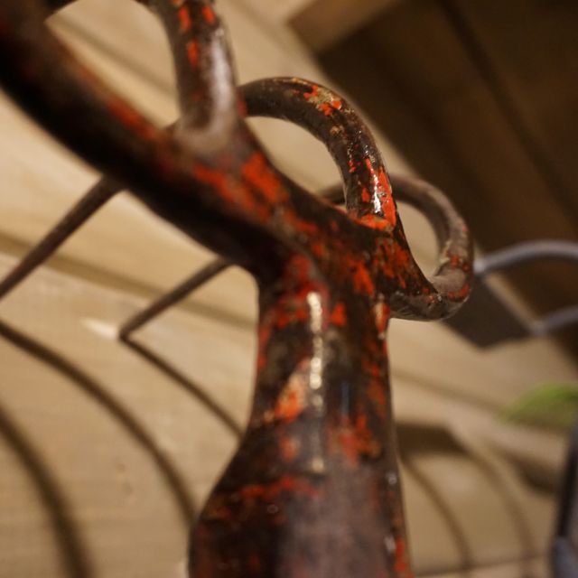 Détail de mécanisme rouillé avec anneaux métalliques dans la cabane du botaniste