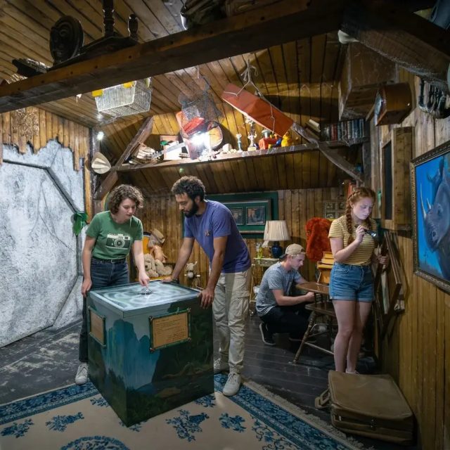 À l’épreuve de la jungle – Le Hangar à Énigmes, photo 1