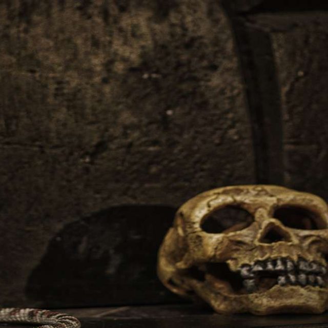 Serpent, crâne et statuettes précolombiennes sur une étagère sombre, salle Le temple de Chachapoya chez Escape Yourself à Saintes