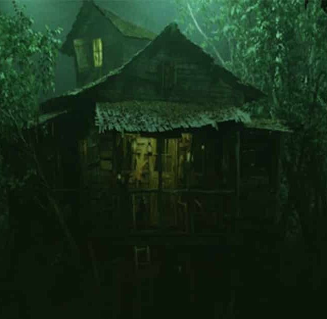 Maison envahie de lianes vertes dans une ambiance marécageuse, L'Esprit du Bayou