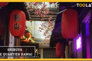 Shibuya, le quartier kawaï