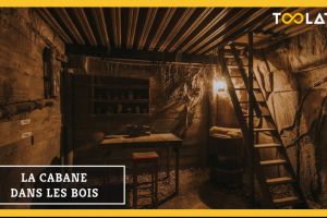 La Cabane dans les bois