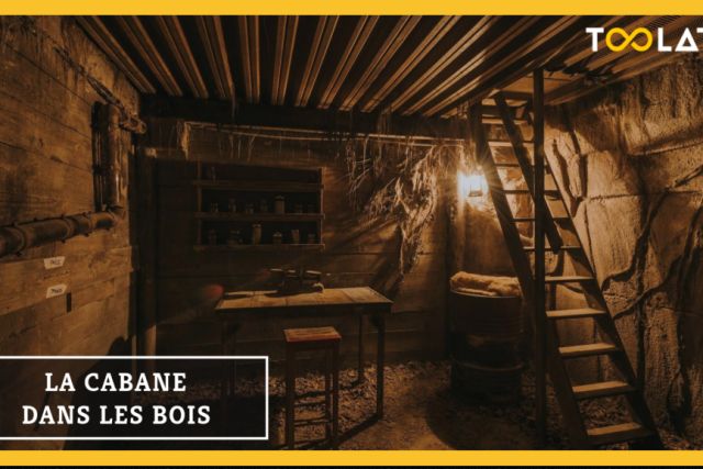 La Cabane dans les bois
