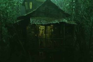 L’Esprit du Bayou
