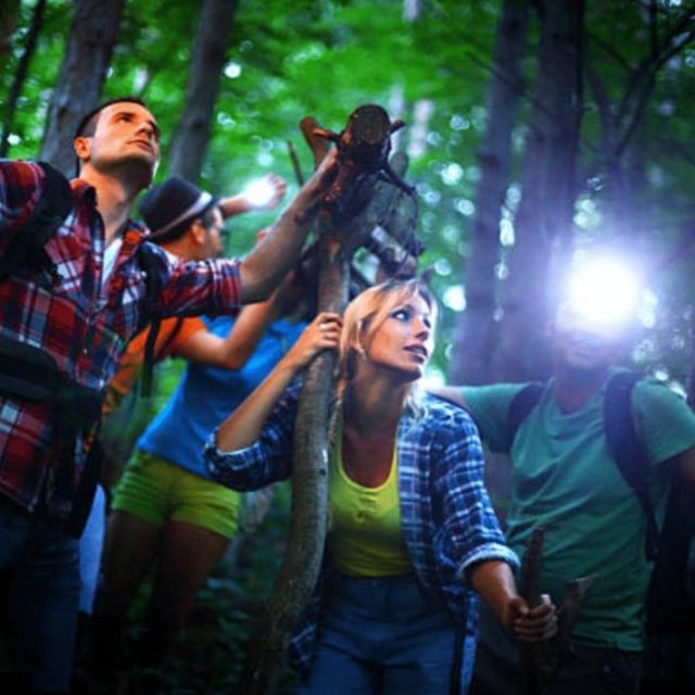 Quatre joueurs explorent une forêt dense avec lampes torches, cherchant des indices chez Escape Forest