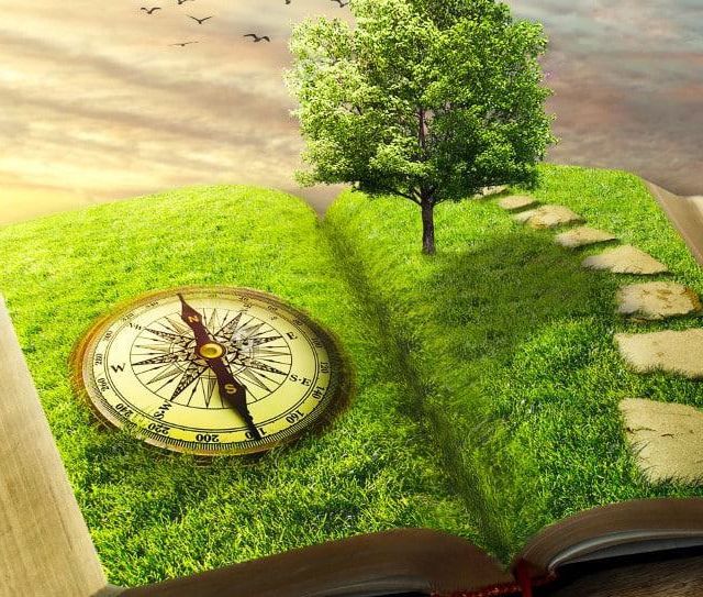 Boussole posée sur l'herbe d'un grand livre ouvert, décor de la salle Le rêve chez Crazy Rooms à Saint-Laurent-du-Var