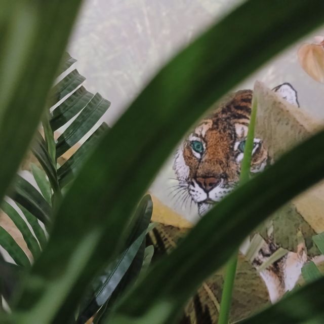Tigre peint aperçu derrière de grandes feuilles vertes, La Malle de la Serre Royale
