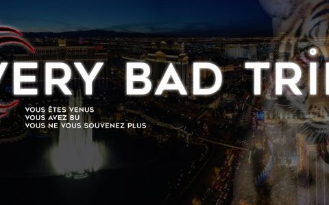 Décor urbain de nuit avec tigre et motifs asiatiques pour Very Bad Trip à Plaisance-du-Touch