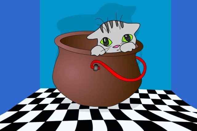 Chat alors – escape kid