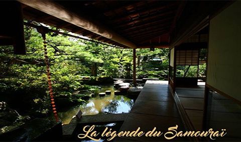 Terrasse couverte avec bassin et verdure luxuriante, chez Enigma Run à Saint-Denis