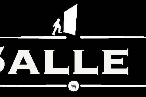 Visuel très pâle portant le mot Salle 3, salle L'assassin de l'expédition Œil Polaire chez HalluCiné à Mâcon