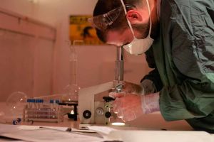 Le laboratoire zombie
