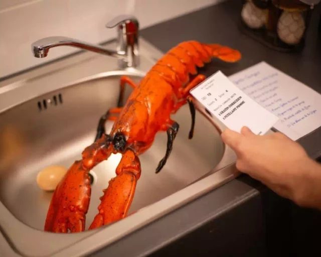 Homard orange dans un évier en inox, main tenant une fiche, salle Panique en cuisine chez Gaillard Académie à Brive