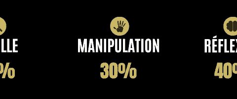 Barres de répartition Fouille 30 %, Manipulation 30 %, Réflexion 40 %, visuel des salles d'Escape The Game à Castres