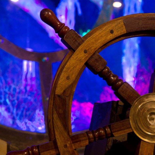 Barre à roue en bois devant un hublot ouvert sur des méduses bleues, salle Nautilus chez Le Défi des Ducs à Dijon
