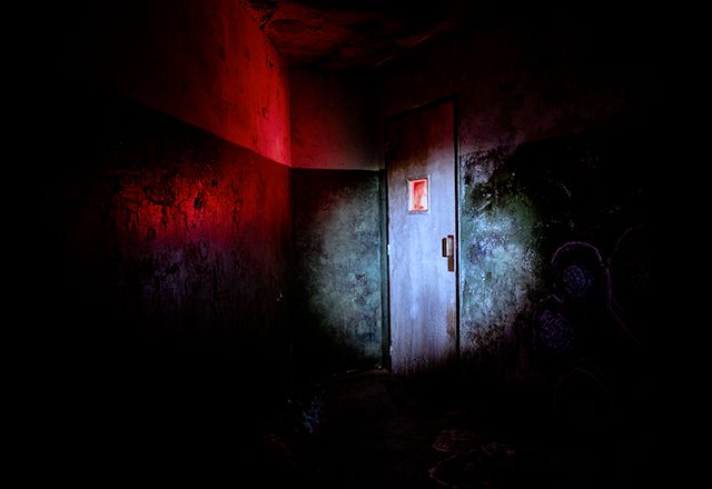 The Last Hope, photo 1