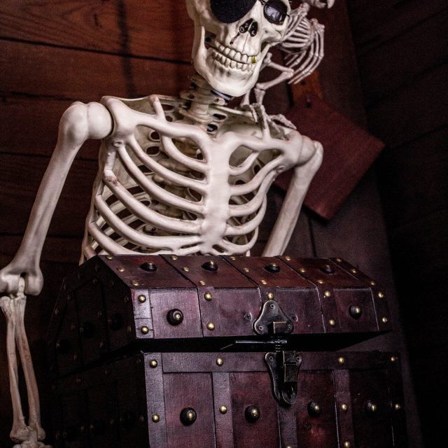 Pirate, photo 6