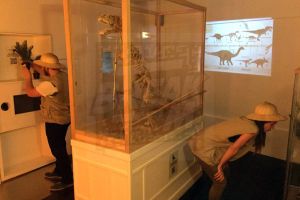 Jurassik Room