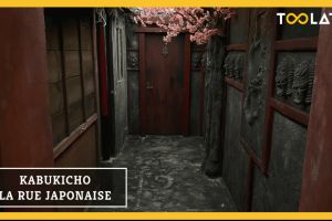 Kabukicho : la rue japonaise – Too Late