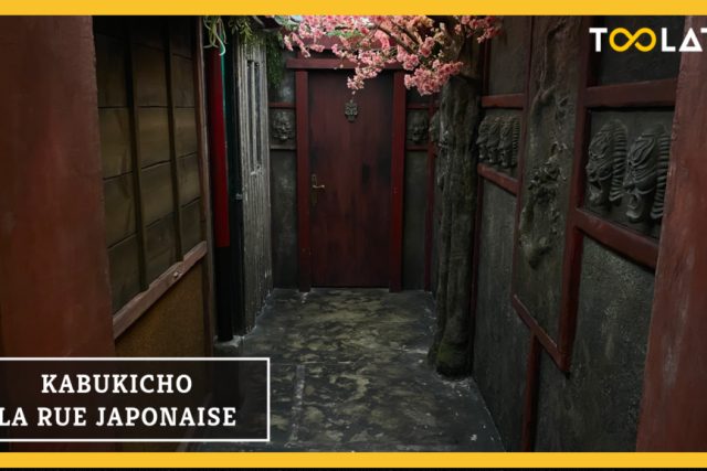 Kabukicho : la rue japonaise – Too Late – Bayonne
