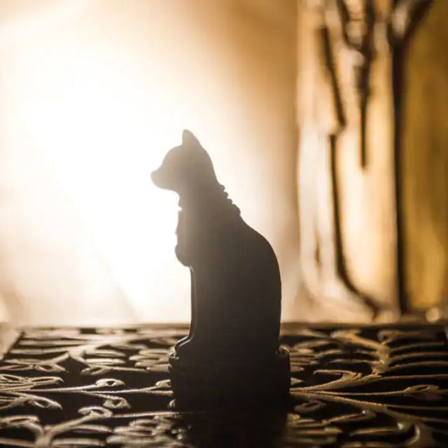 Statuette de chat égyptien à contre-jour devant des bas-reliefs, salle Opération Louxor