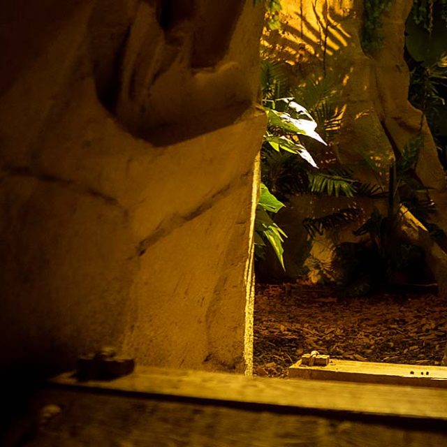 Projet Omega, escape game à Mulsanne
