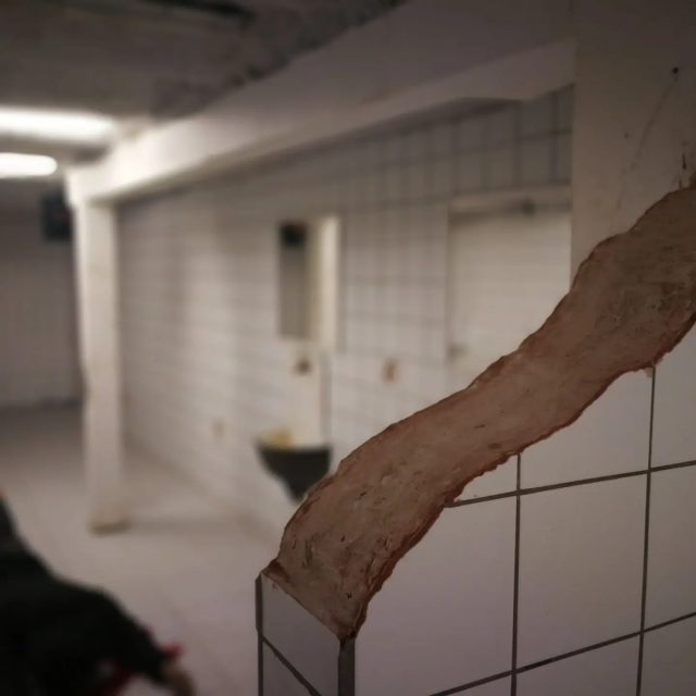 Jigsaw, photo 4