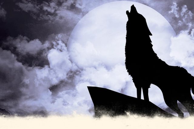 Le loup-garou de Huddersfield – operation escape