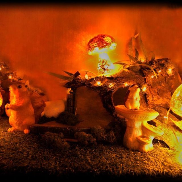 Décor de science-fiction avec champignons luminescents orangés et créatures fantastiques dans l'obscurité