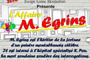 L’affaire M. Egrins
