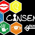 Logo Cinsens : cinq hexagones colorés avec une bouche, une oreille, un nez, une main et un œil, Aurillac