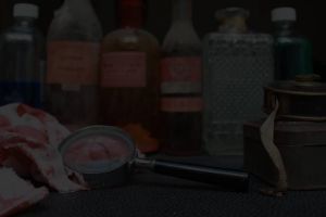 Lost Asylum