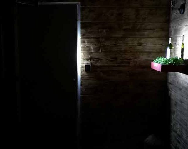 Couloir sombre aux murs de briques, étagère murale avec plantes et bouteilles chez Time Lapse